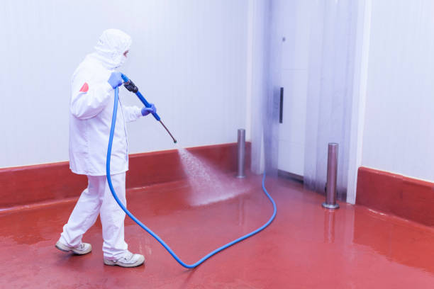Trusted Dillingham, AK Pressure Washing Experts